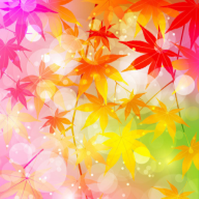 如何自制ssr节点