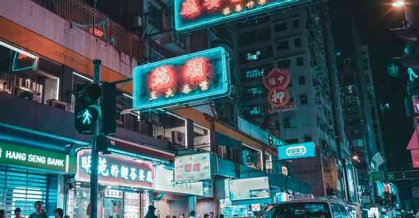 受诉人是什么意思